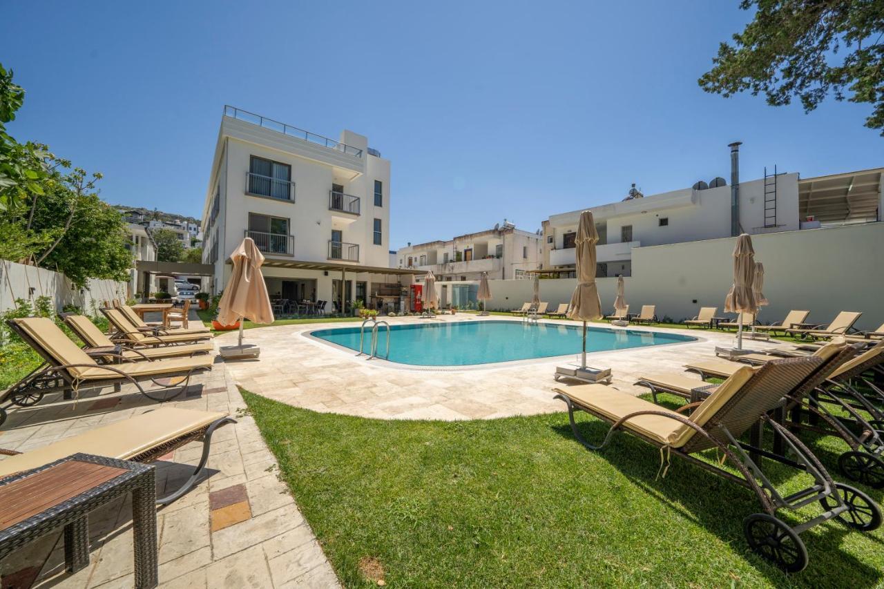 Olive Tree 4*