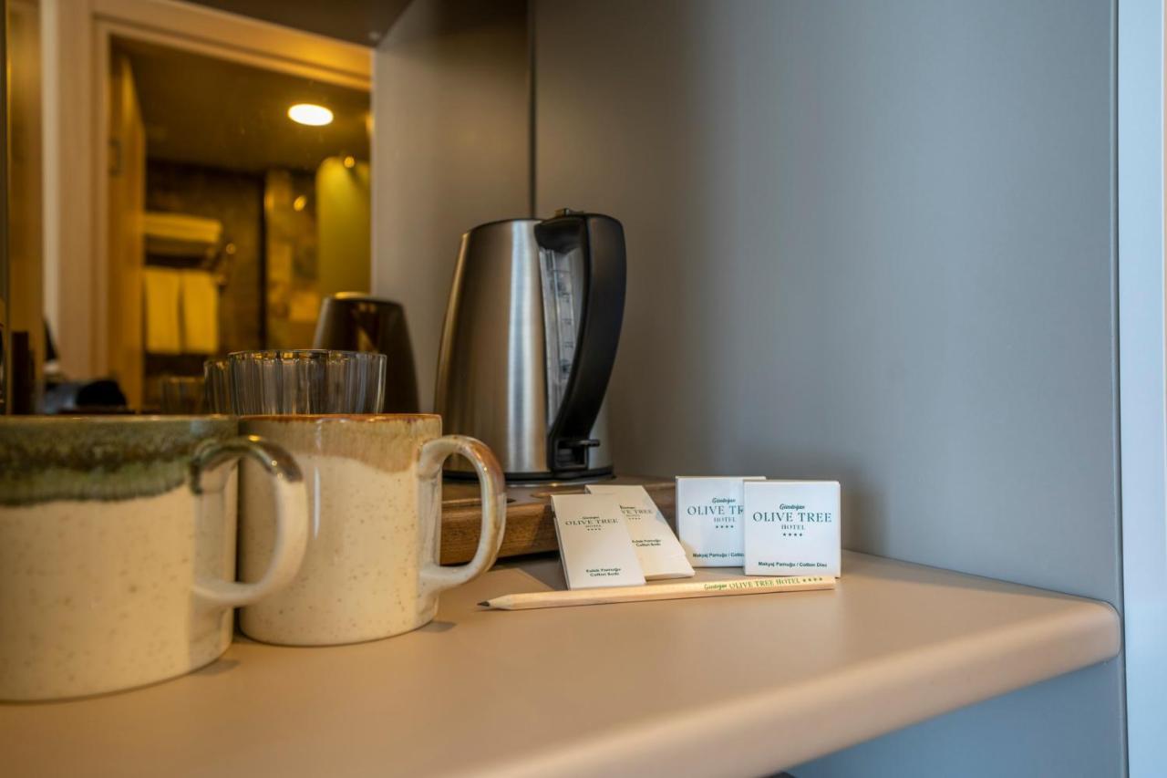 Hotel Olive Tree 4*